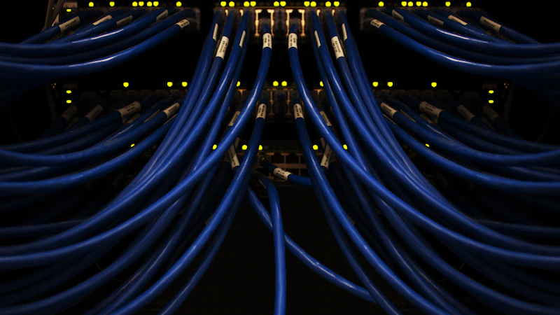Blaue Netzwerkkabel in einem Serverschrank